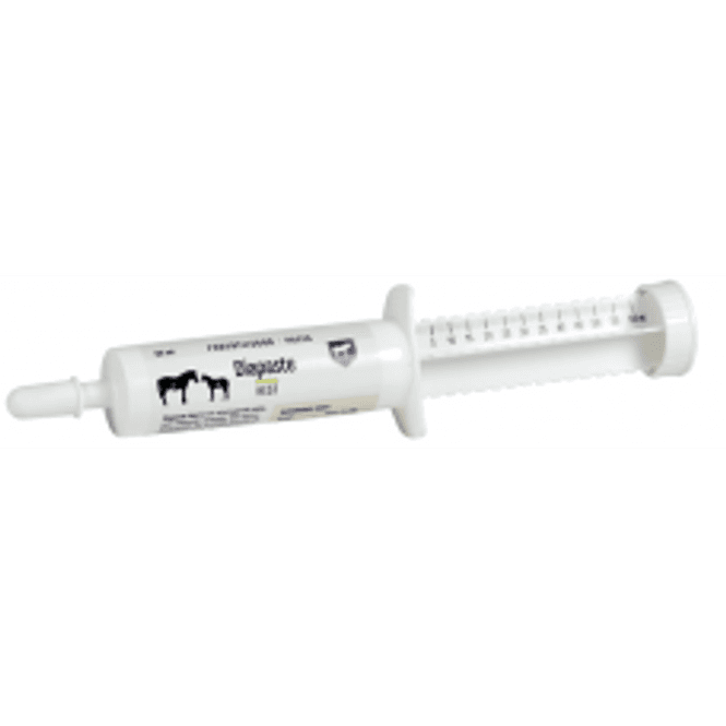Hovedbilde DIAPASTE 60ml Hest 