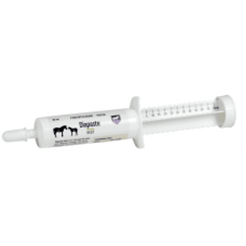 DIAPASTE 60ml Hest