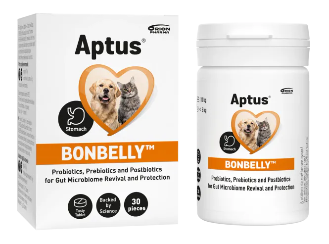 Hovedbilde APTUS BONBELLY