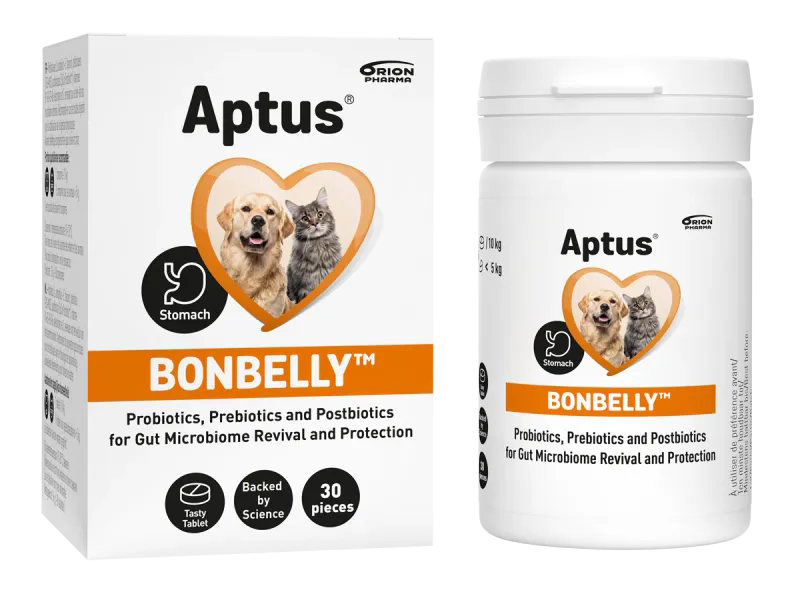 APTUS BONBELLY