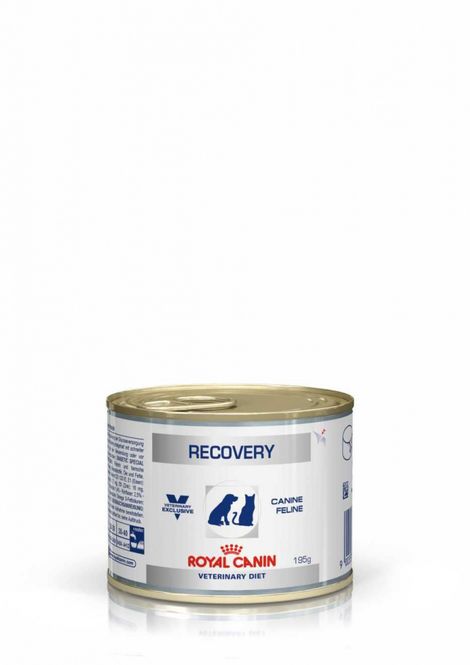 Hovedbilde RC RECOVERY (hund /katt) 195g